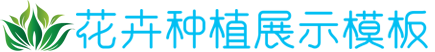 cmp冠军官下载,cmp冠军投注简便
